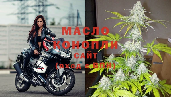 трава Сясьстрой