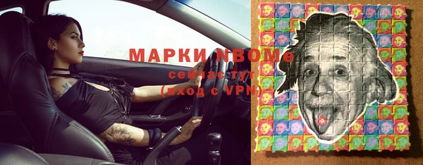 стаф Верея
