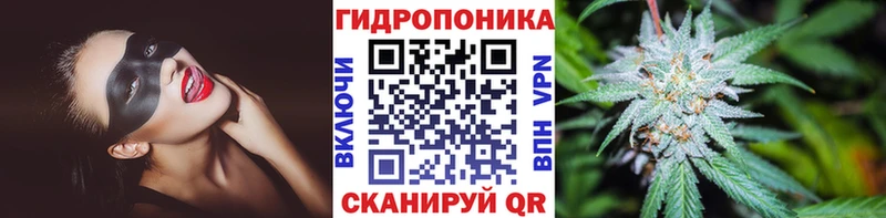 дарнет шоп Завитинск Бошки Шишки SATIVA & INDICA